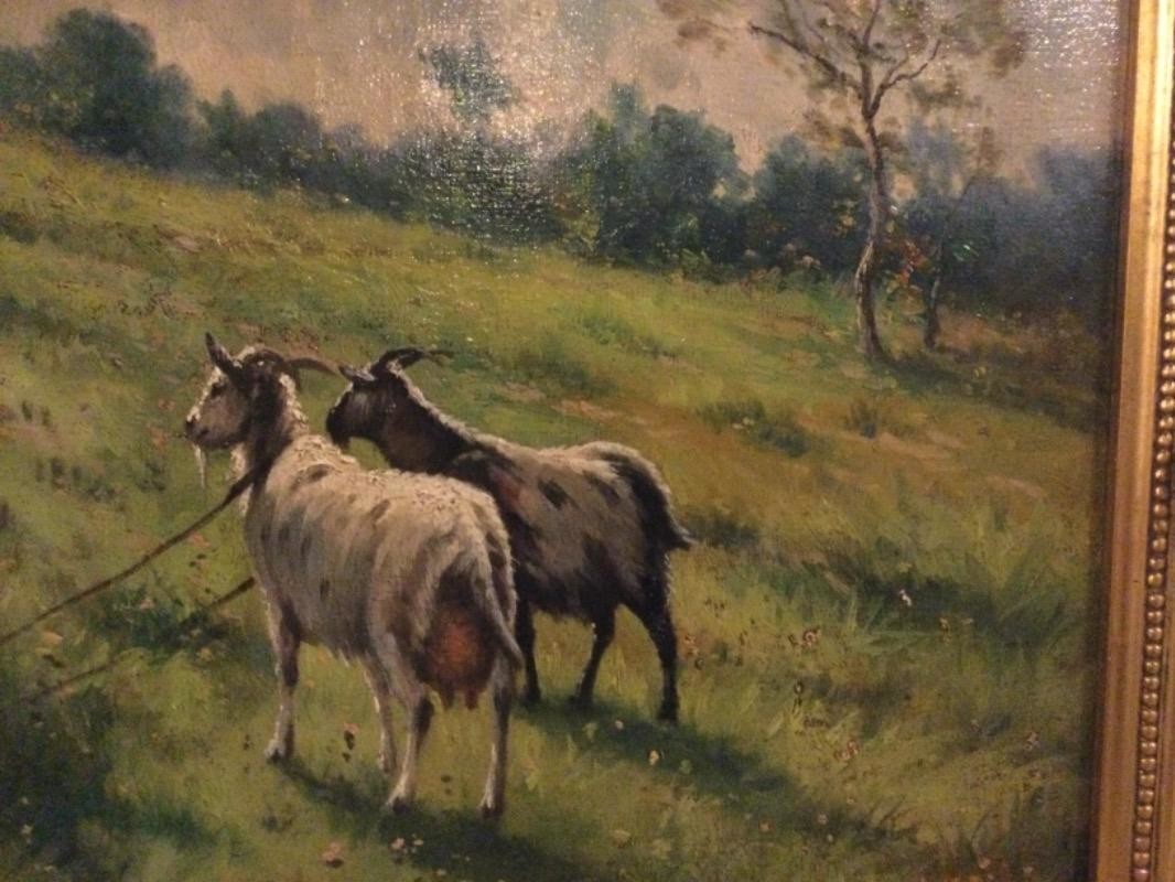 Henri Schouten 